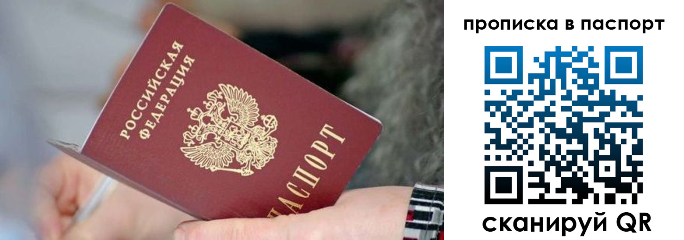 временная регистрация поиск в Амурской области